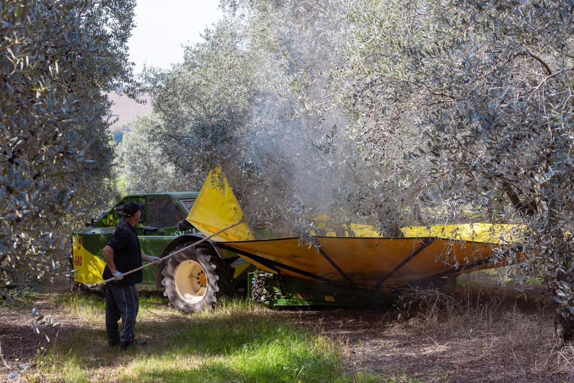 A3Passi Βίλα Ανκόνα Εξωτερικό φωτογραφία